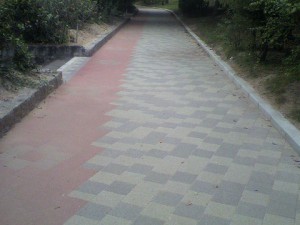 きれいになった道